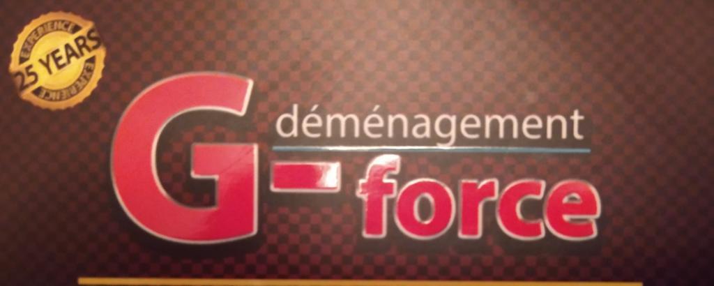 Déménagement G-Force