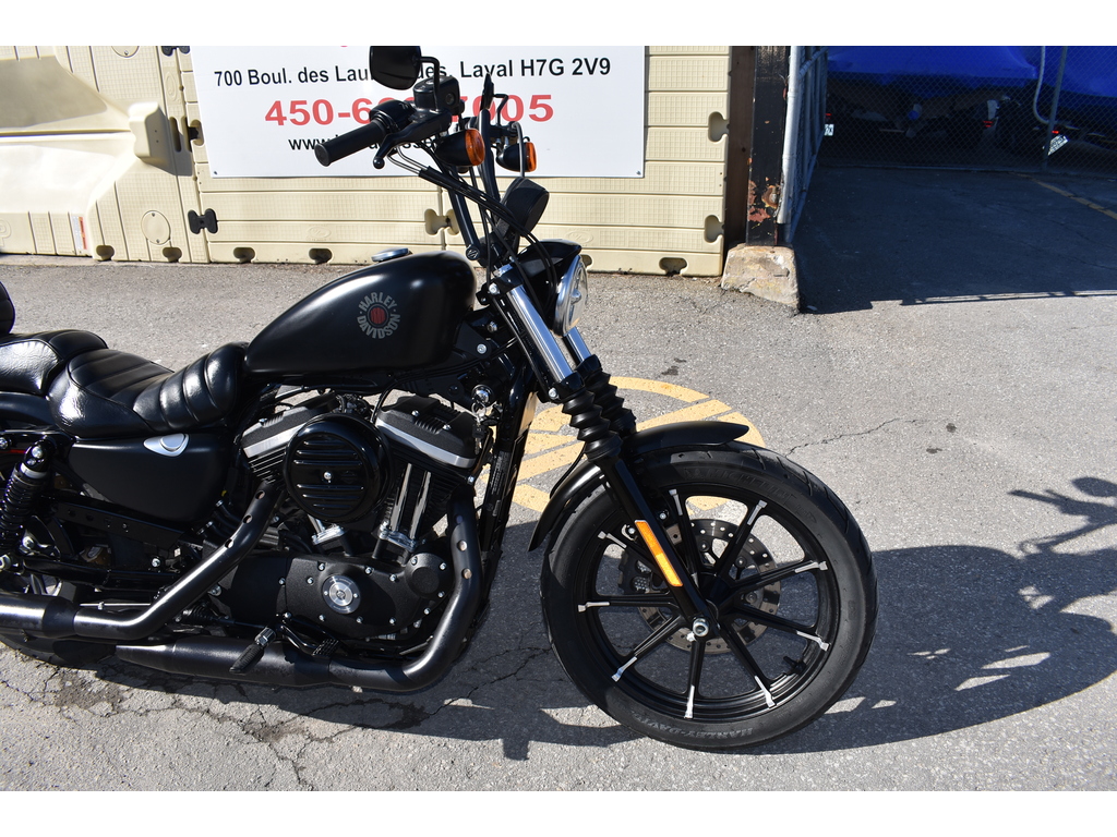 Harley-Davidson Sportster Iron 883 Custom 2019