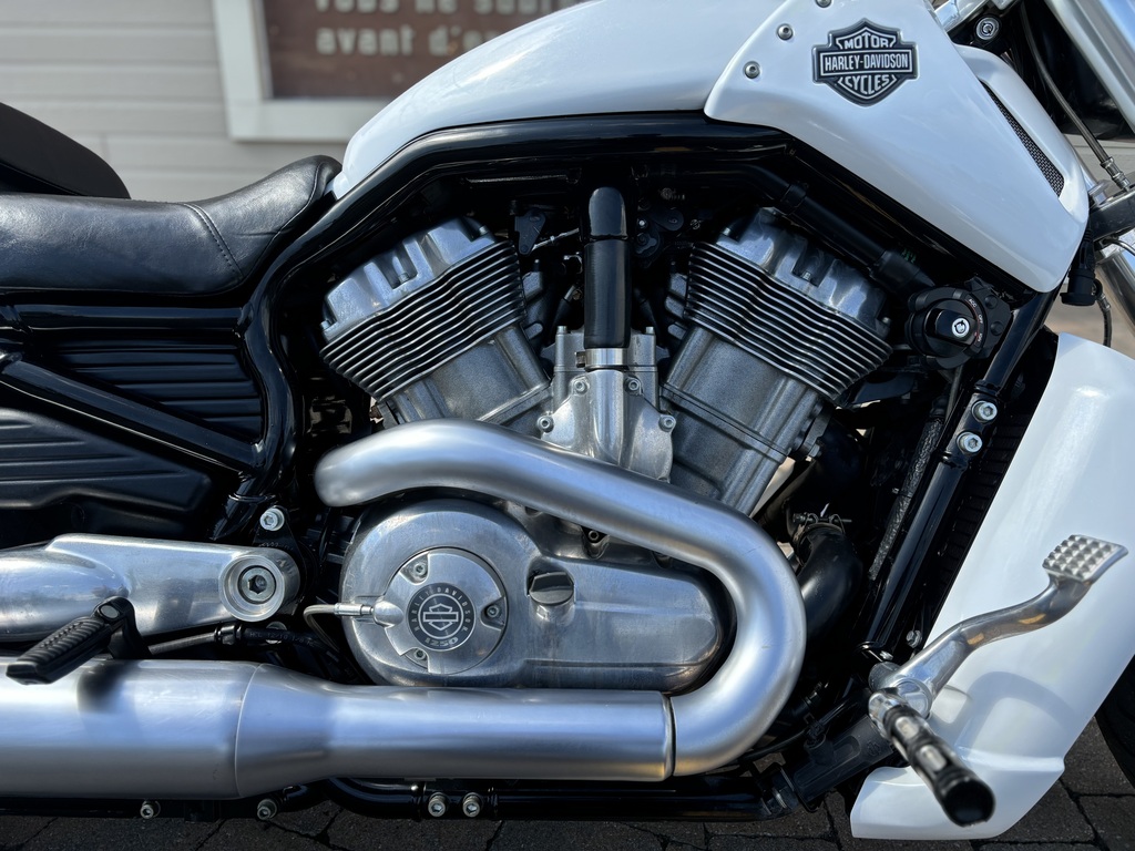 Harley-Davidson VRSCF Muscle V-Rod 2011