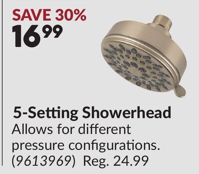 5-Setting Showerhead