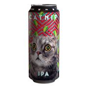 Bière de type IPA
