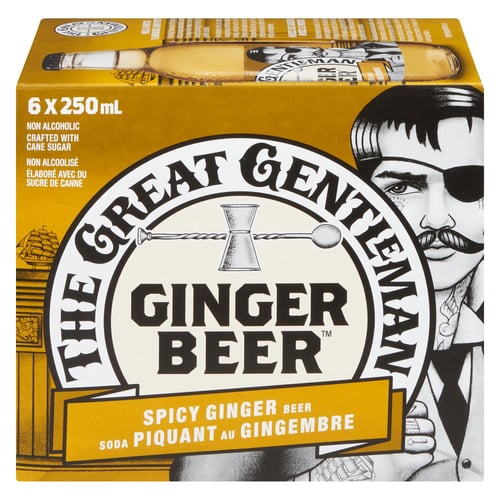 Soda piquant gingembre 250 ml x6