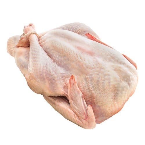 Dinde entière biologique