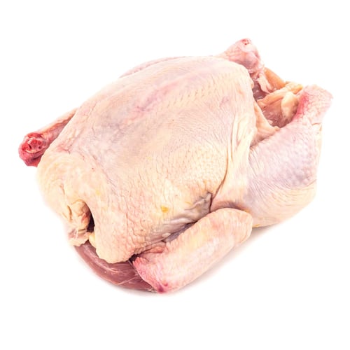 Poulet de grain