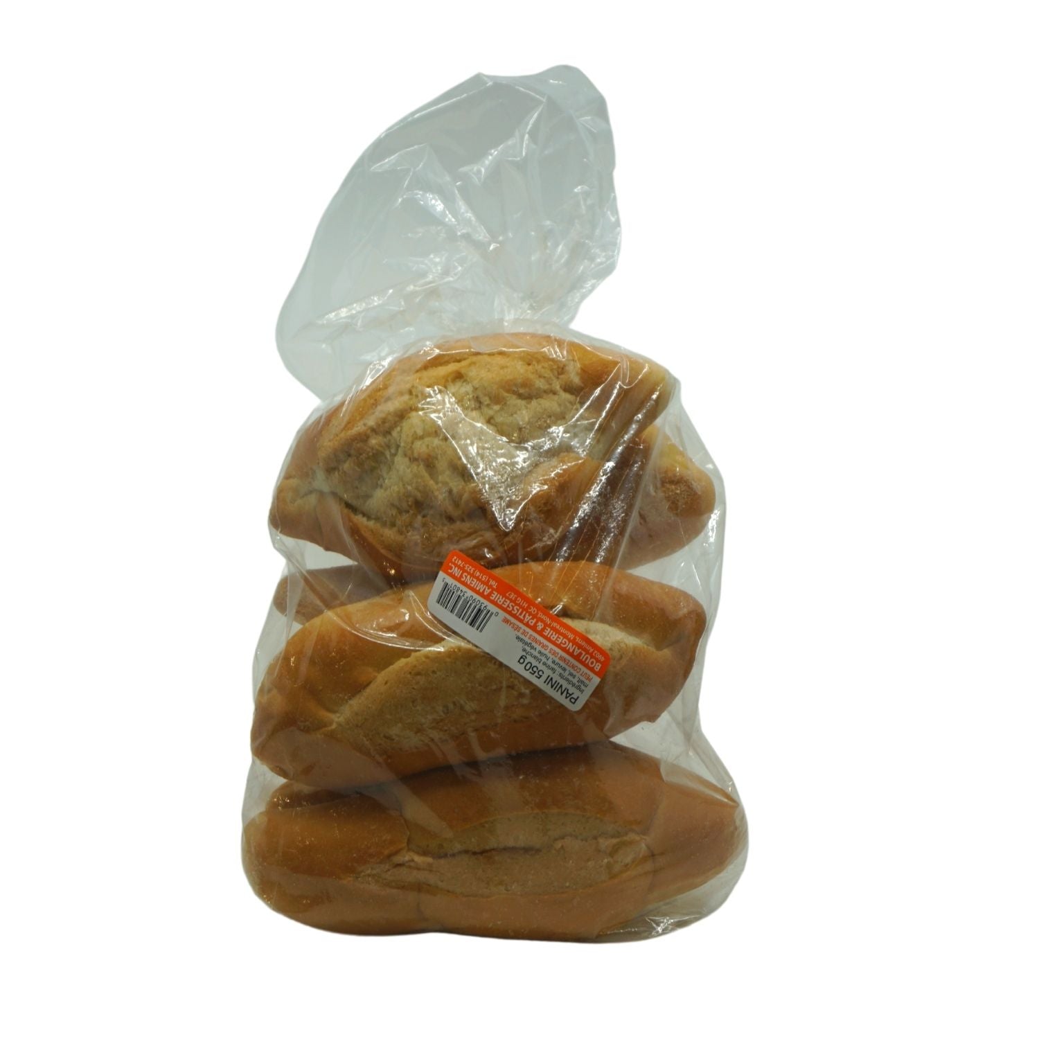 PANINI