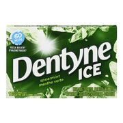 Gomme sans sucre à saveur de menthe verte