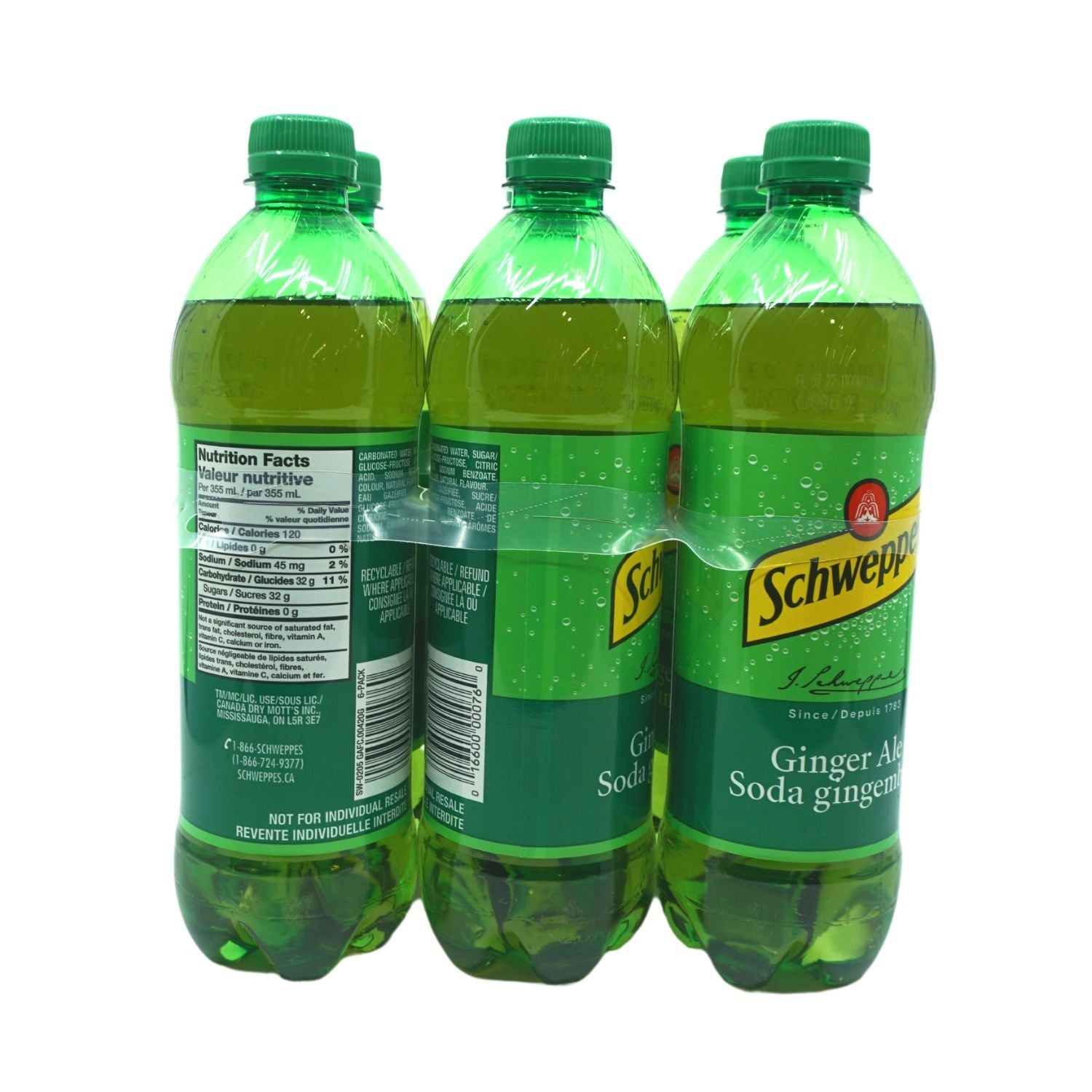 SODA GINGEMBRE