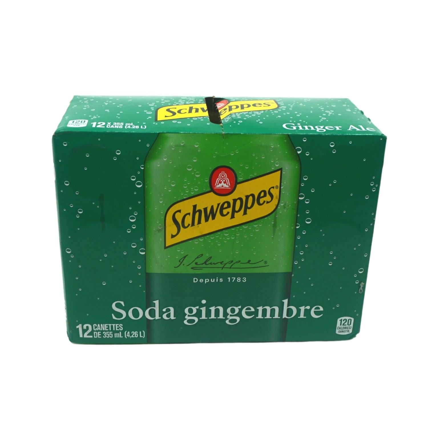 SODA GINGEMBRE