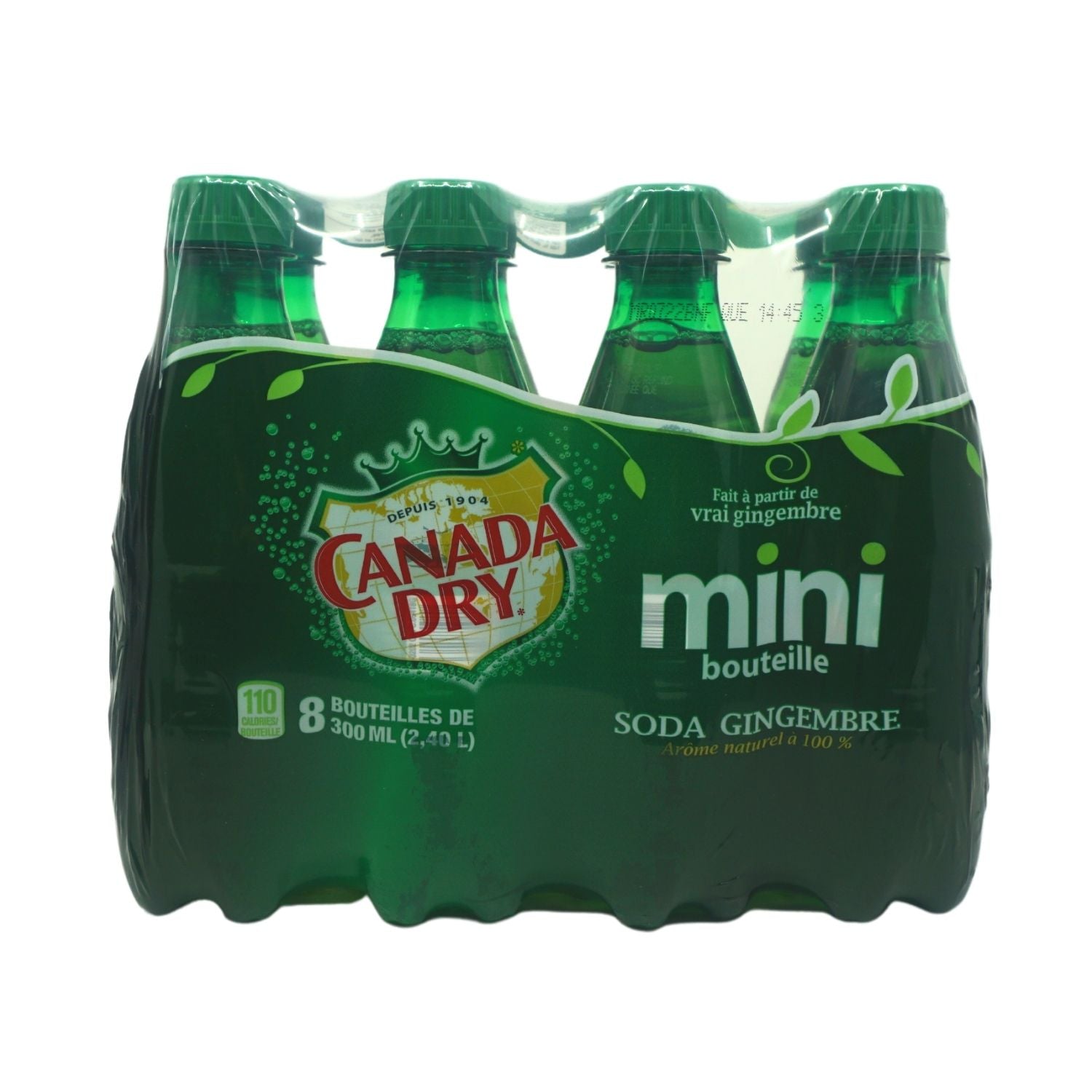SODA GINGEMBRE MINI