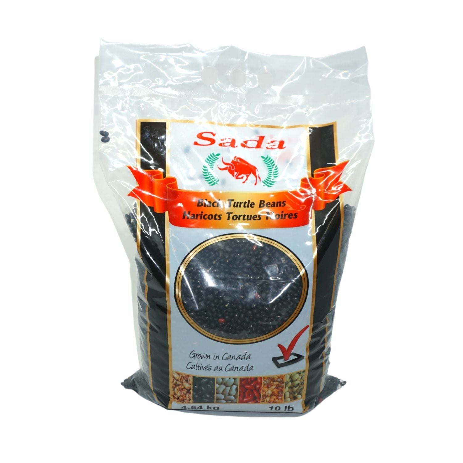 HARICOT TORTUE NOIRE