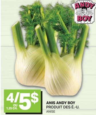 ANIS ANDY BOY