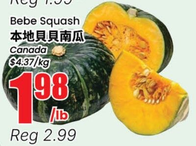 Bebe Squash