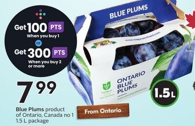 Blue Plums