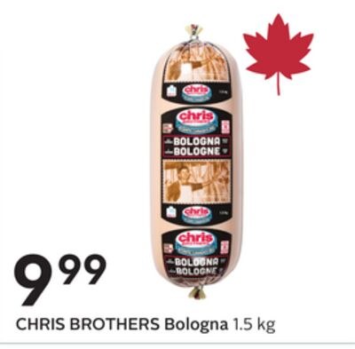 Bologna