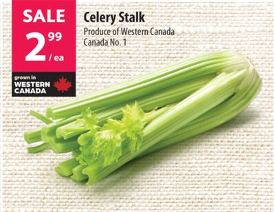 Celery Stalk