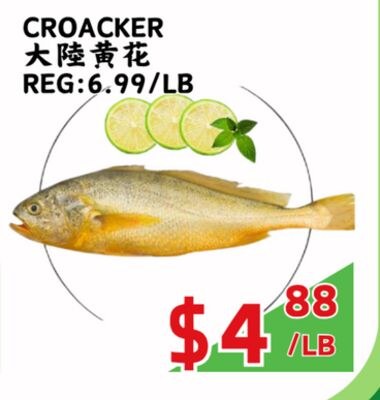 CROACKER
