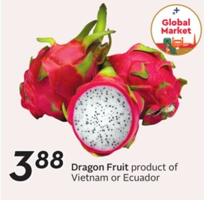 Dragon Fruit