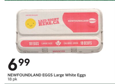 EGGS Large White Eggs