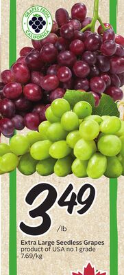 Extra Large Seedless Grapes