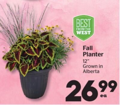 Fall Planter
