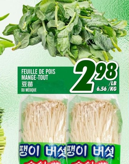 FEUILLE DE POIS MANGE-TOUT
