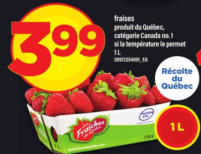 FRAISES, 1 L