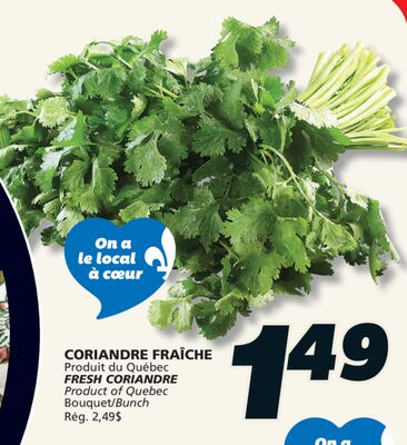 FRESH CORIANDRE