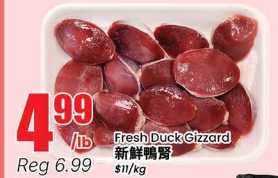Fresh Duck Gizzard