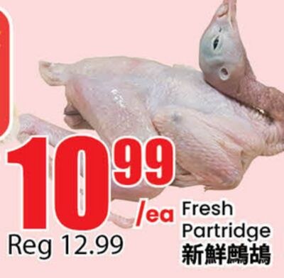 Fresh Partridge