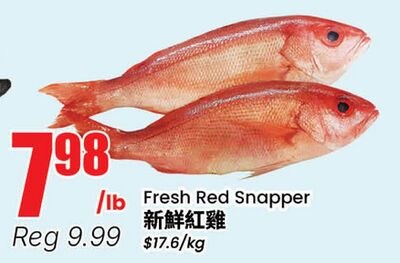 Fresh Red Snapper