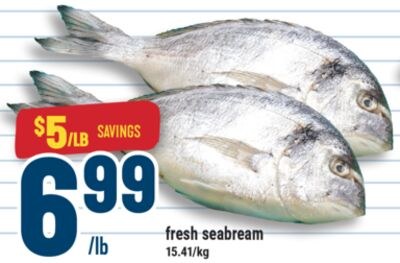 fresh seabream