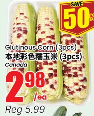 Glutinous Corn