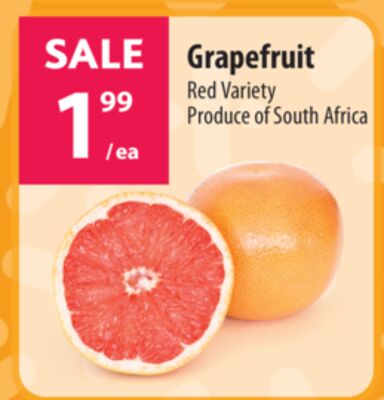 Grapefruit