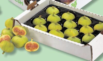 GREEN FIGS