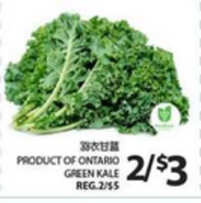GREEN KALE