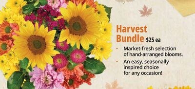 Harvest Bundle