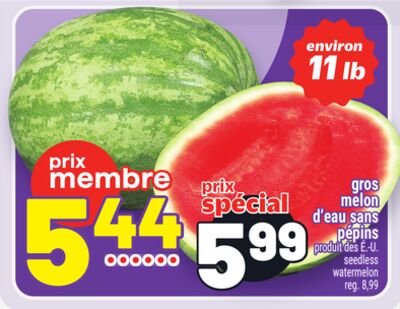GROS MELON D'EAU SANS PÉPINS | SEEDLESS WATERMELON