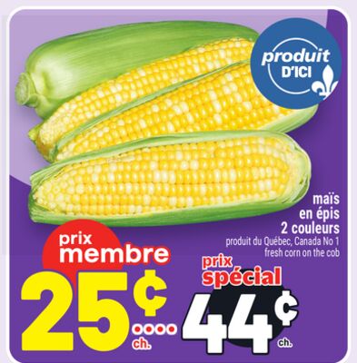 MAÏS EN ÉPIS 2 COULEURS | FRESH CORN ON THE COB