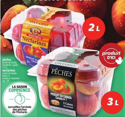 PÊCHES OU NECTARINES | PEACHES OR NECTARINES