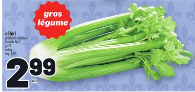 CÉLERI | CELERY