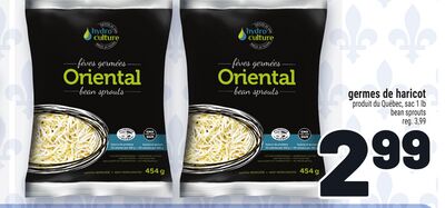 GERMES DE HARICOT | BEAN SPROUTS