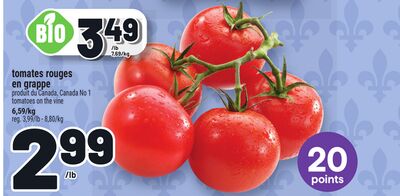 TOMATES ROUGES EN GRAPPE | TOMATOES ON THE VINE