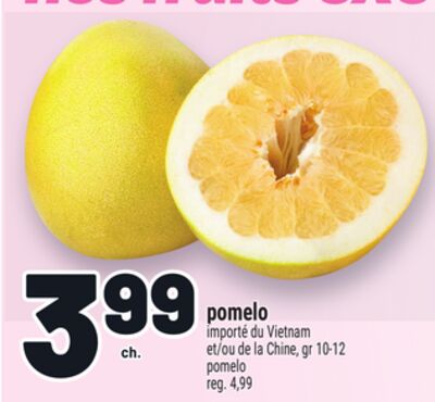 POMELO | POMELO