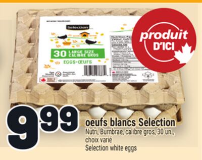 OEUFS BLANCS SELECTION | SELECTION WHITE EGGS