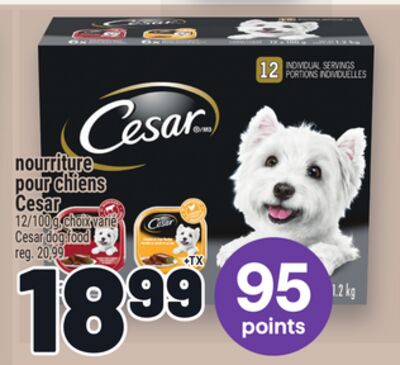 NOURRITURE POUR CHIENS CESAR | CESAR DOG FOOD