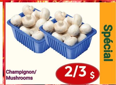 Mushrooms | Champignon