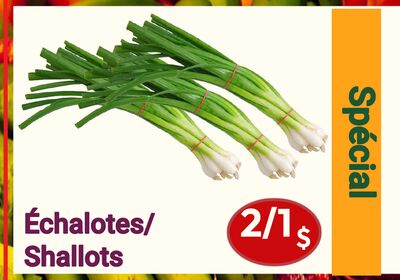Shallots | Échalotes