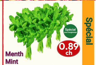 Mint | Menth