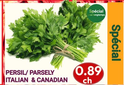PARSLEY | PERSIL