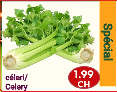 Celery | céleri